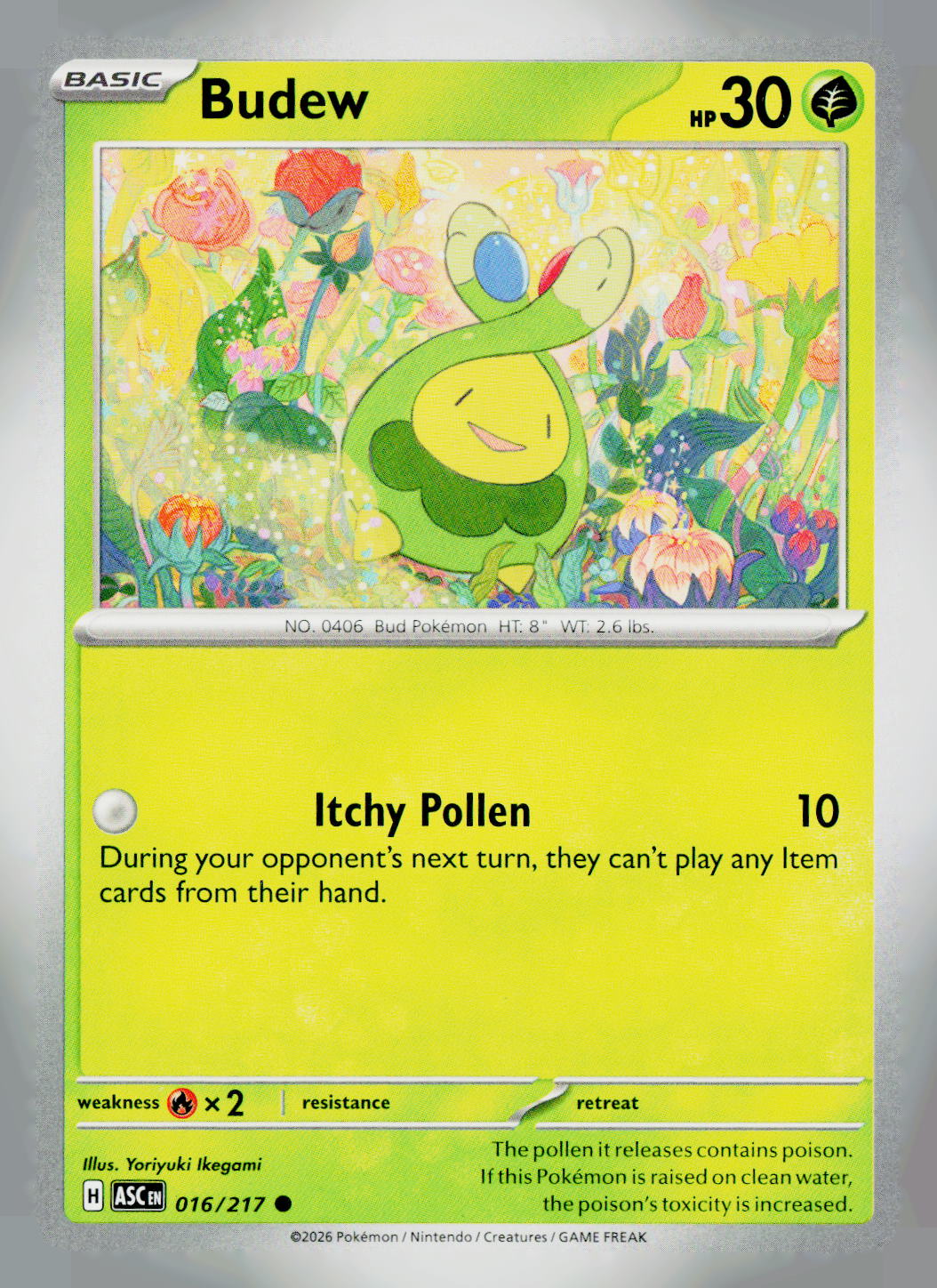 Budew ASC 016/217 NM