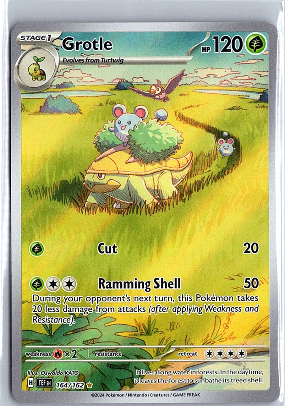 Grotle Illustration Rare SV05: Temporal Forces 164/162 NM