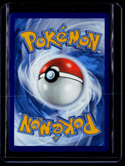Pikachu V Holo SWSH04: Vivid Voltage 043/185 NM