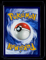 Riolu Holo SV01: Scarlet & Violet Base Set 215/198 NM