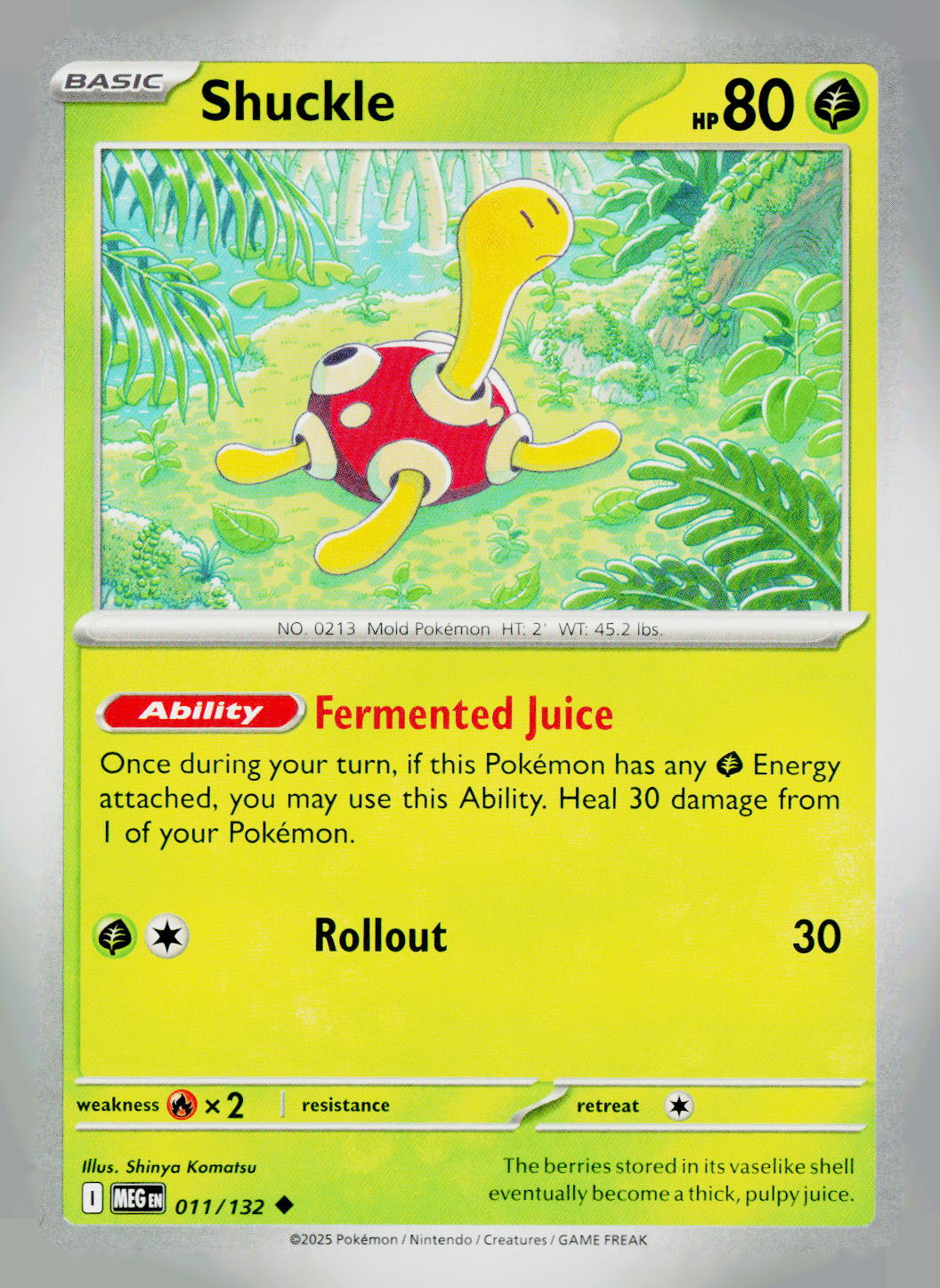 Shuckle MEG 011/132 NM