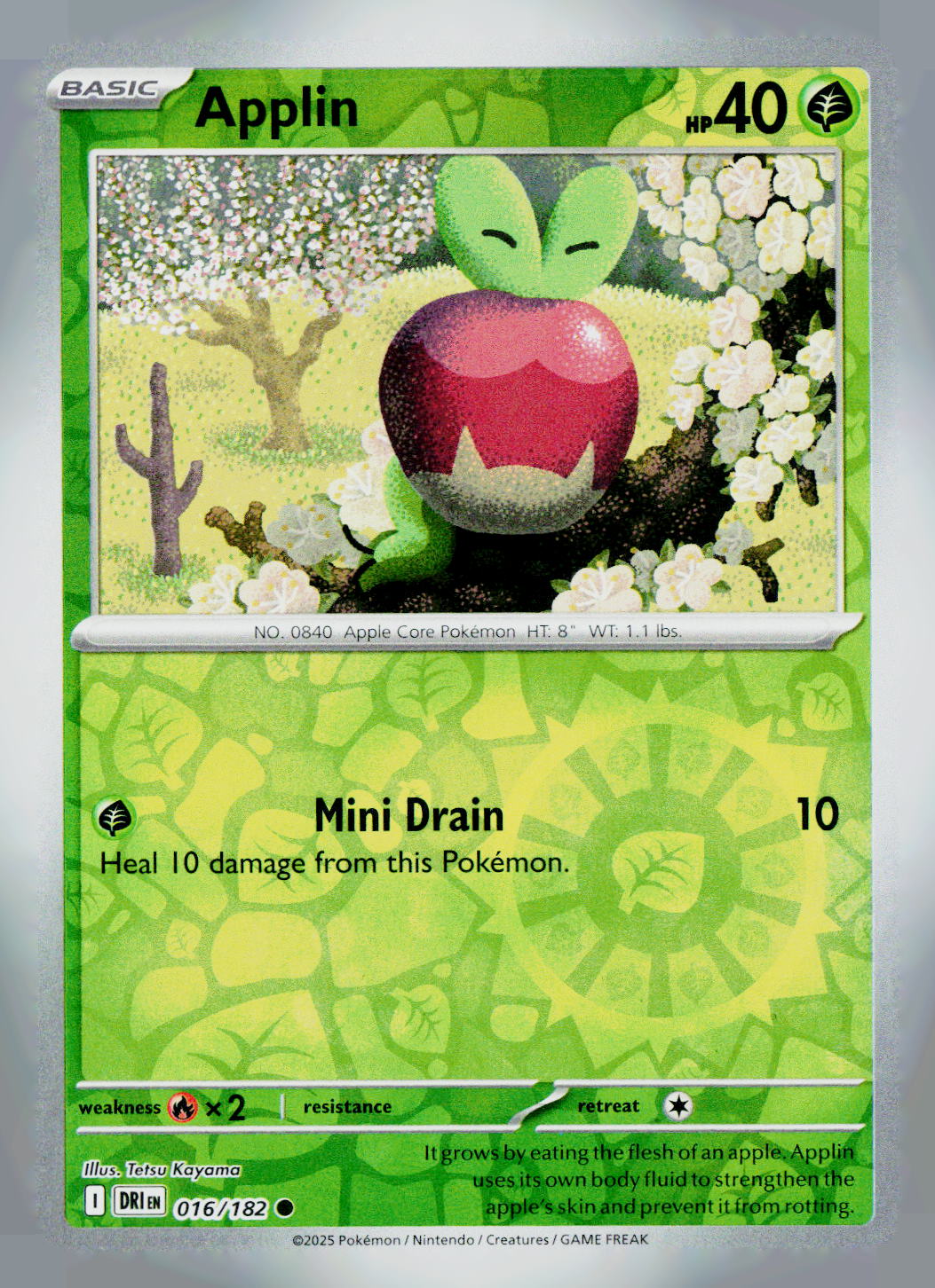 Applin DRI 016/182 Reverse Holo NM