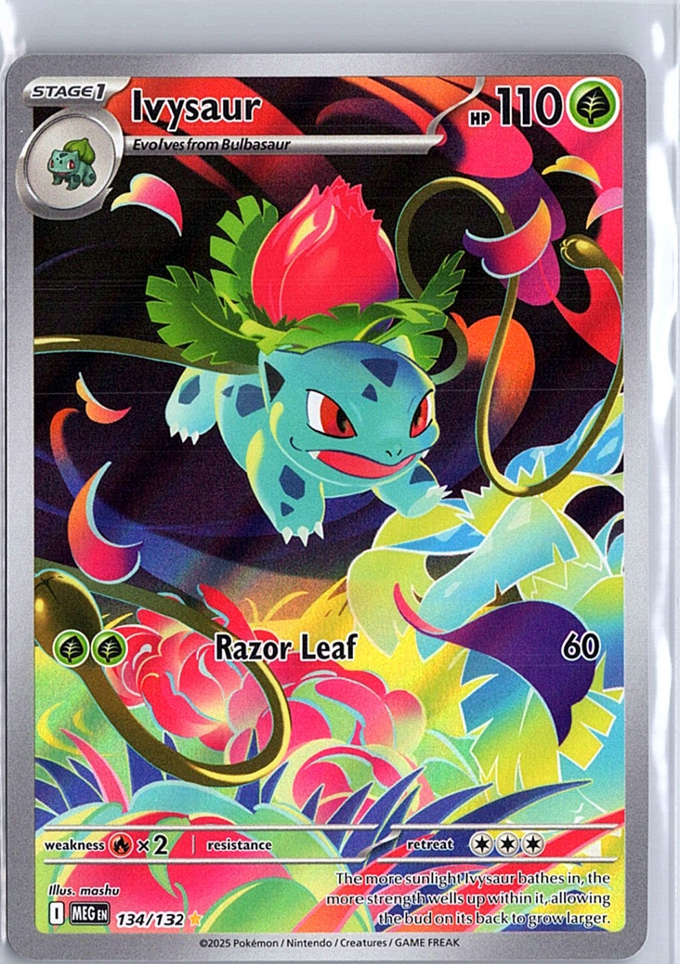 Ivysaur Illustration Rare ME01: Mega Evolution 134/132 NM