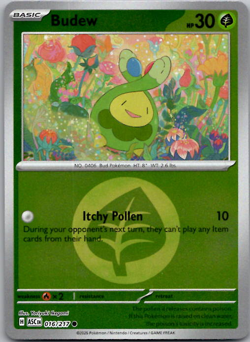 Budew (Energy Symbol Pattern) ASC Reverse Holo NM