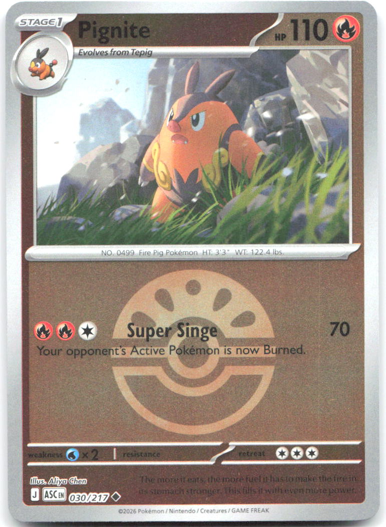 Pignite (Friend Ball) ASC Reverse Holo NM