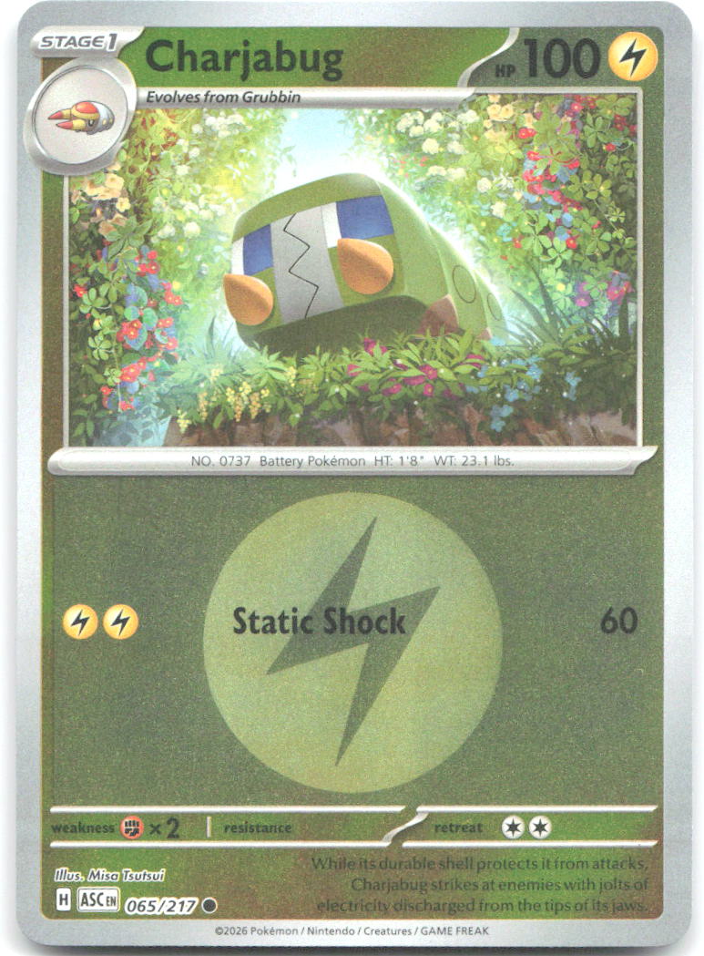Charjabug (Energy Symbol Pattern) ASC Reverse Holo NM
