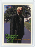 1998-99 NBA Hoops Basketball Dennis Rodman Steppin Out Card #163