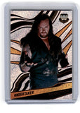 2022 Panini Revolution WWE Undertaker Card 115