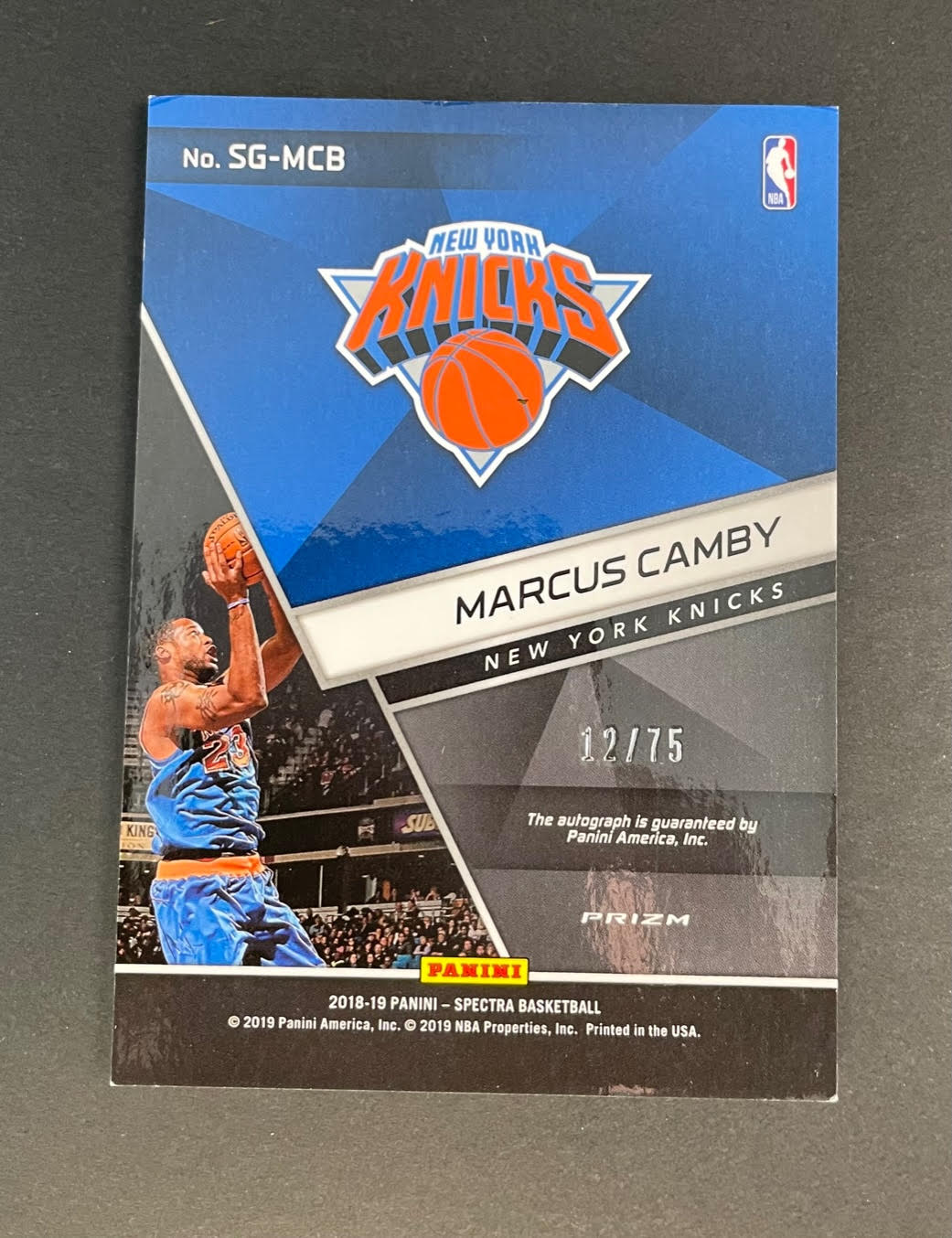 2018-19 Panini Spectra Signatures Marcus Camby /75 #SGMCB